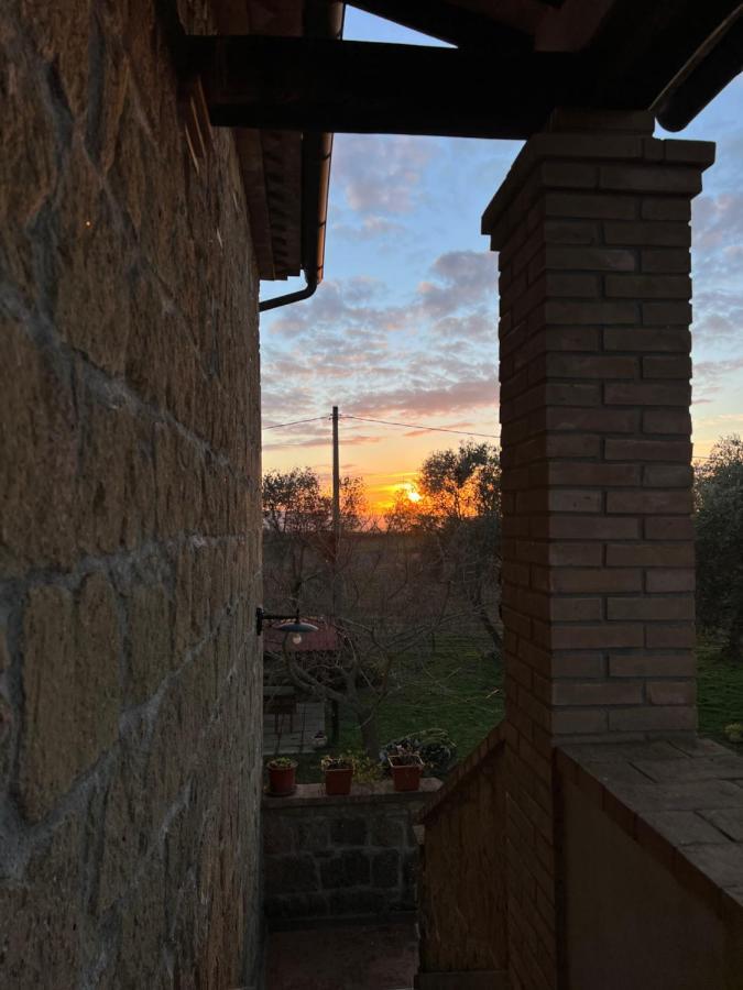 Agriturismo Tenuta Roccaccia ปีติญาโน ภายนอก รูปภาพ