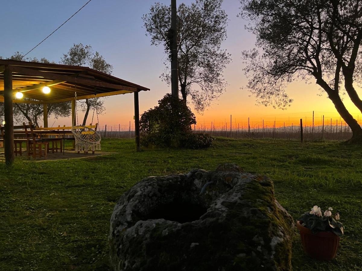 Agriturismo Tenuta Roccaccia ปีติญาโน ภายนอก รูปภาพ