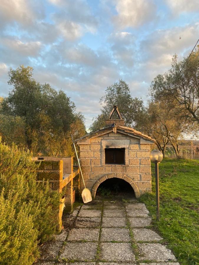 Agriturismo Tenuta Roccaccia ปีติญาโน ภายนอก รูปภาพ