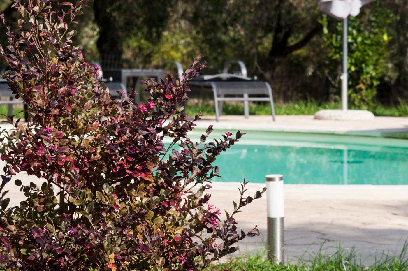 Agriturismo Tenuta Roccaccia ปีติญาโน ภายนอก รูปภาพ