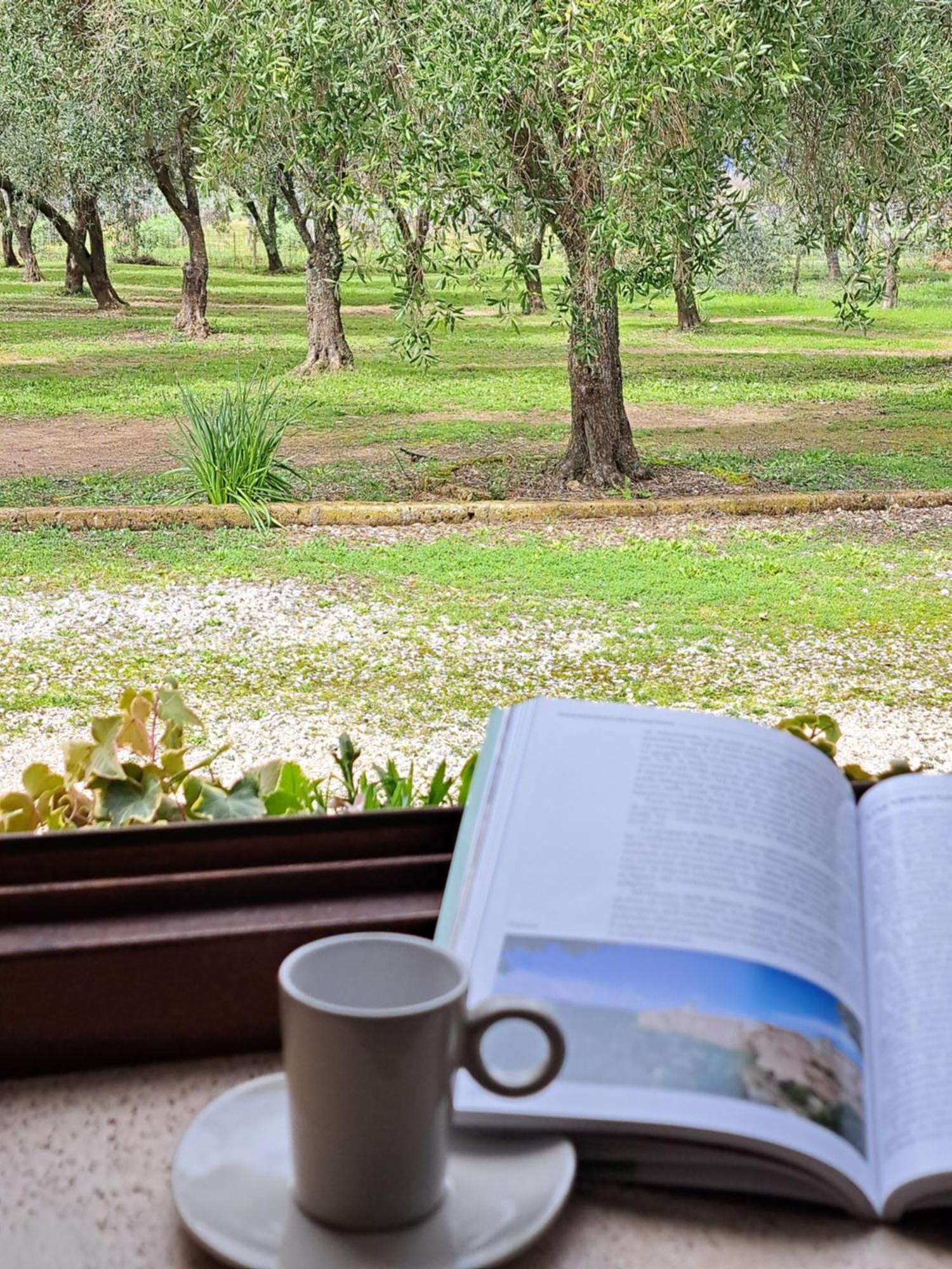 Agriturismo Tenuta Roccaccia ปีติญาโน ภายนอก รูปภาพ